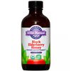 Black Elderberry Honey Liquid Extract, Organic, Alcohol Free