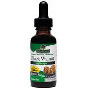 Black Walnut Green Hulls Alcohol-Free Extract Liquid, 1 oz, Nature's Answer