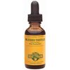 Blessed Thistle Extract Liquid