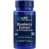 Blueberry Extract with Pomegranate