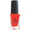Bonita Salon Nail Polish - Girl's Night Out