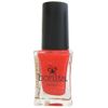 Bonita Salon Nail Polish - Pink Peonies