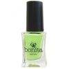 Bonita Salon Nail Polish - Wilds Guess