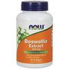 Boswellia Extract 500 mg