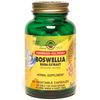 Boswellia Resin Extract - Standardized