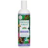 Botanical Moisturizing Shampoo, Lavender Mint