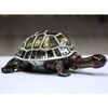 Brazilian Turtle Gilt Jewelry Gift Box with Fine Crystals
