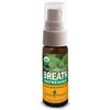 Breath Refresher Spray - Spearmint