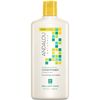 Sunflower & Citrus Brilliant Shine Conditioner