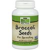 Broccoli Seeds, For Sprouting
