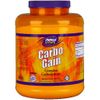 Carbo Gain Powder, Value Size