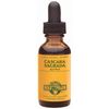 Cascara Sagrada Extract Liquid