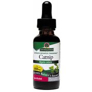 Catnip Extract Liquid 1 oz from Nature's Answer