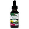 Catnip Extract Liquid