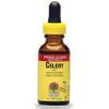 Celery Seed Extract Liquid