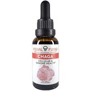 Chaga, 1 oz, Feral Fungi