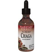 Chaga Liquid Extract, 1 oz, Planetary Herbals