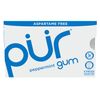 Chewing Gum Blister Pack - Peppermint