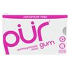 Chewing Gum Blister Pack - Pomegranate Mint