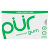 Chewing Gum Blister Pack - Spearmint
