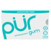 Chewing Gum Blister Pack - Wintergreen