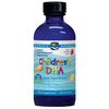 Children's DHA Liquid, Strawberry Flavor for Kids