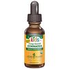 Kids Echinacea Glycerite, Organic Liquid Herb