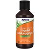 Chlorophyll Liquid, Extra Strength, Unflavored
