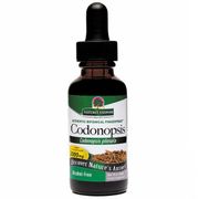 Codonopsis Root Alcohol Free Extract Liquid 1 oz from Nature's Answer