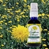 Dandelion Dynamo, Herbal Flower Oil