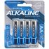 Doc Johnson Alkaline Batteries - AA