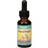 Echinacea/Astragalus Blend Alcohol-Free