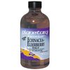 Echinacea-Elderberry Syrup