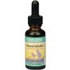 Echinacea/GoldenRoot, Blackberry Flavor Alcohol-Free
