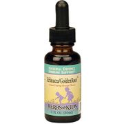 Echinacea/GoldenRoot, Orange Flavor Alcohol-Free 2 oz from Herbs For Kids