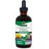 Echinacea-Goldenseal Alcohol Free Extract