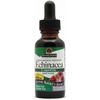 Echinacea Grape Flavor Liquid Extract Alcohol-Free