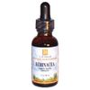 Echinacea Organic