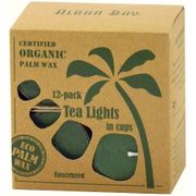 Eco Palm Wax Tea Lights in Cups, Unscented, Green, 12 Candles, Aloha Bay