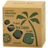 Eco Palm Wax Tea Lights in Cups, Unscented, Green