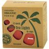 Eco Palm Wax Tea Lights in Cups, Unscented, Red
