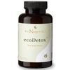 EcoDetox, Total Body Detox