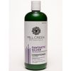 Fantastic Silver Conditioner
