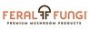 Feral Fungi