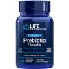 FLORASSIST Prebiotic Chewable, Natural Strawberry Flavor