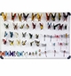 Free Gift for Order over $100: Magnetic Butterfly, Dragonfly, or Other Insect (Fridge Sticker) 1 pc, Style May Vary