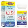 GABA (Gamma-Aminobutyric Acid) 100 mg