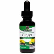 Ginger Root Alcohol Free Extract Liquid 1 oz from Nature's Answer