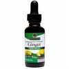 Ginger Root Alcohol Free Extract Liquid