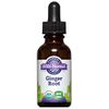 Ginger Root Liquid Extract, Organic